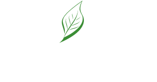 Elite Landscape Solutions