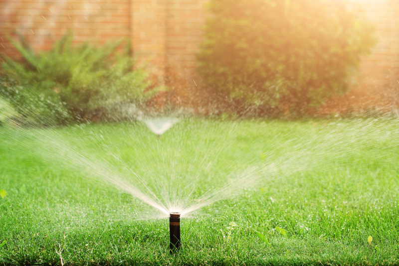 sprinklers and irrigation