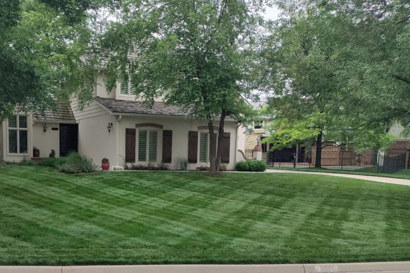 Fresh Cut Lawn