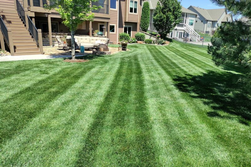 Lawn Care