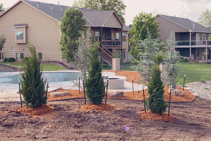 Professional Tree Planting
