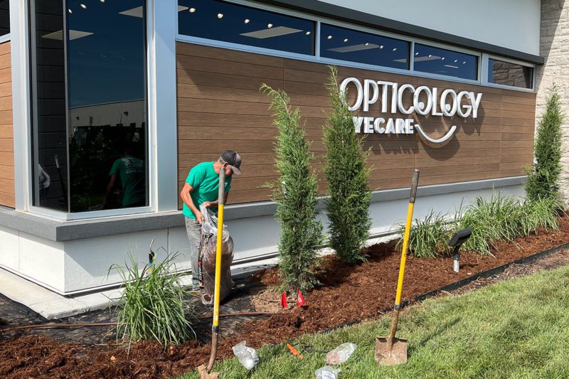Tree Care Tree Care