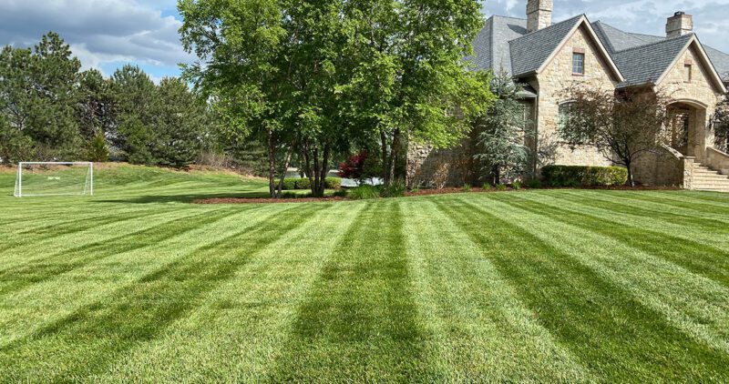 Lawn Care Wichita Ks