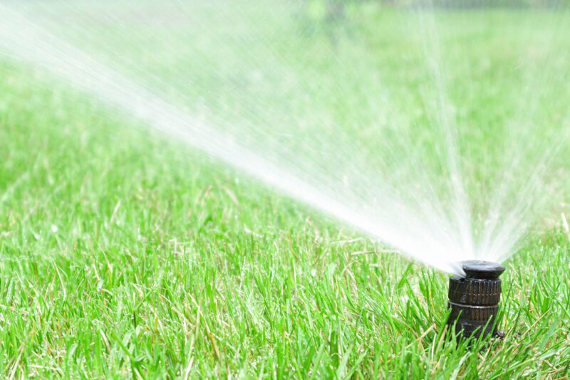 Sprinkler Startup Wichita KS