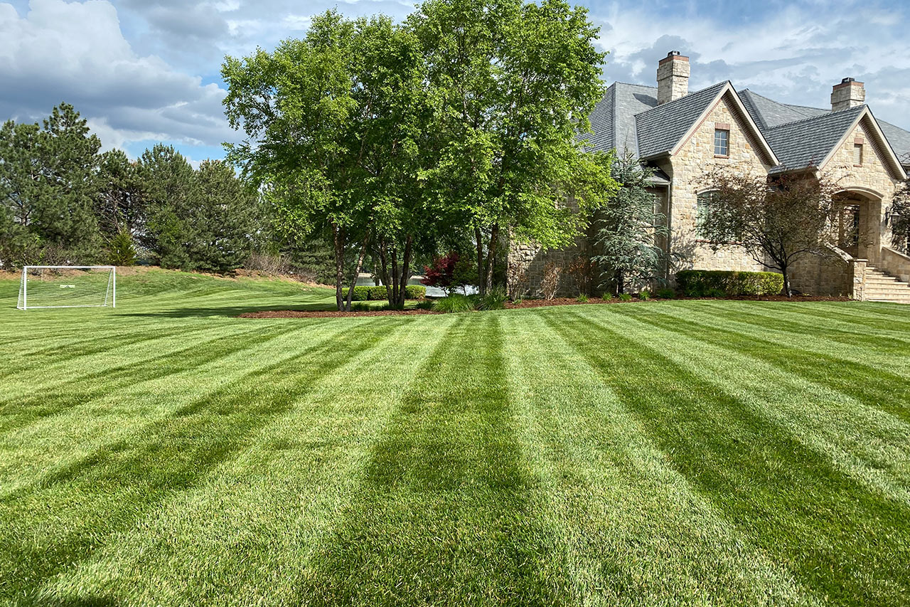 Fall Lawn Care Checklist 8 Tasks for a Healthy Lawn Fall Lawn Care Checklist 8 Tasks for a Healthy Lawn