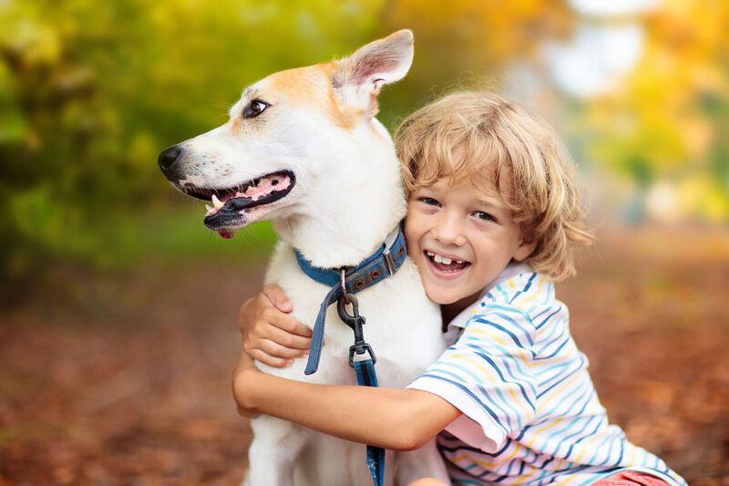 Boy Playing With Dog