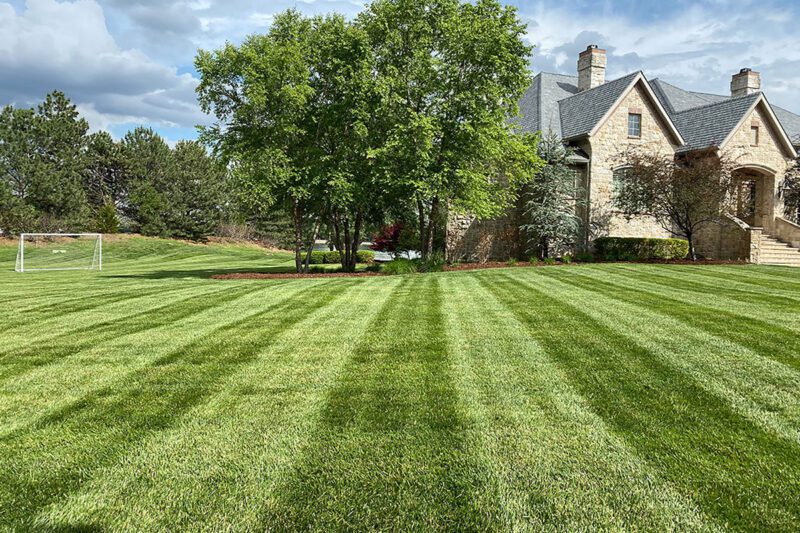 Fertilized Lawn Fertilized Lawn