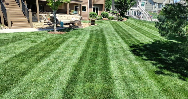 Lawn Fertilization Wichita