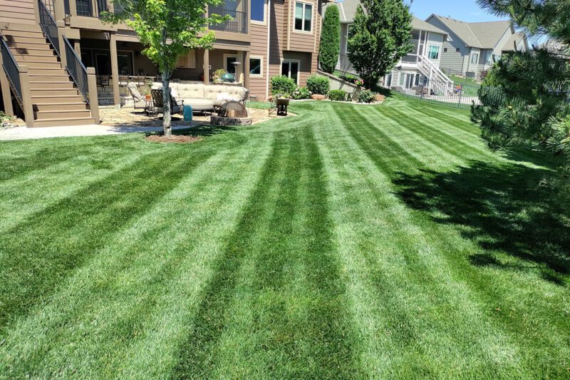 Lawn Fertilization Wichita Lawn Fertilization Wichita