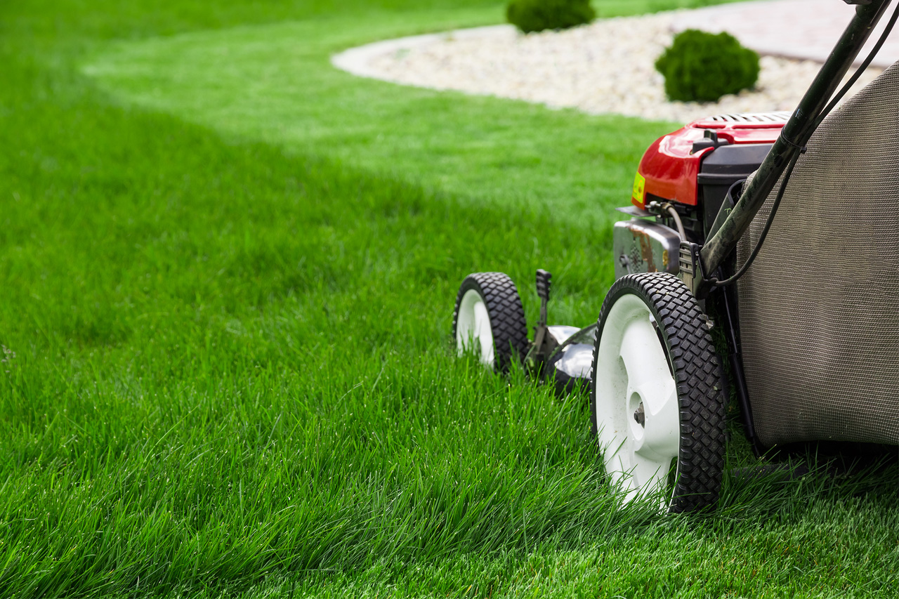 Lawn Mowing Wichita Ks