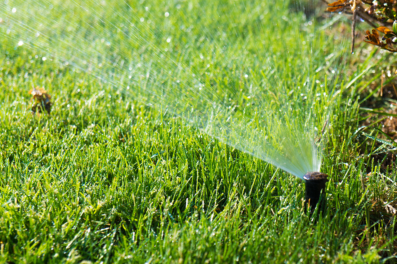 Sprinkler Startup for spring lawn care checklist