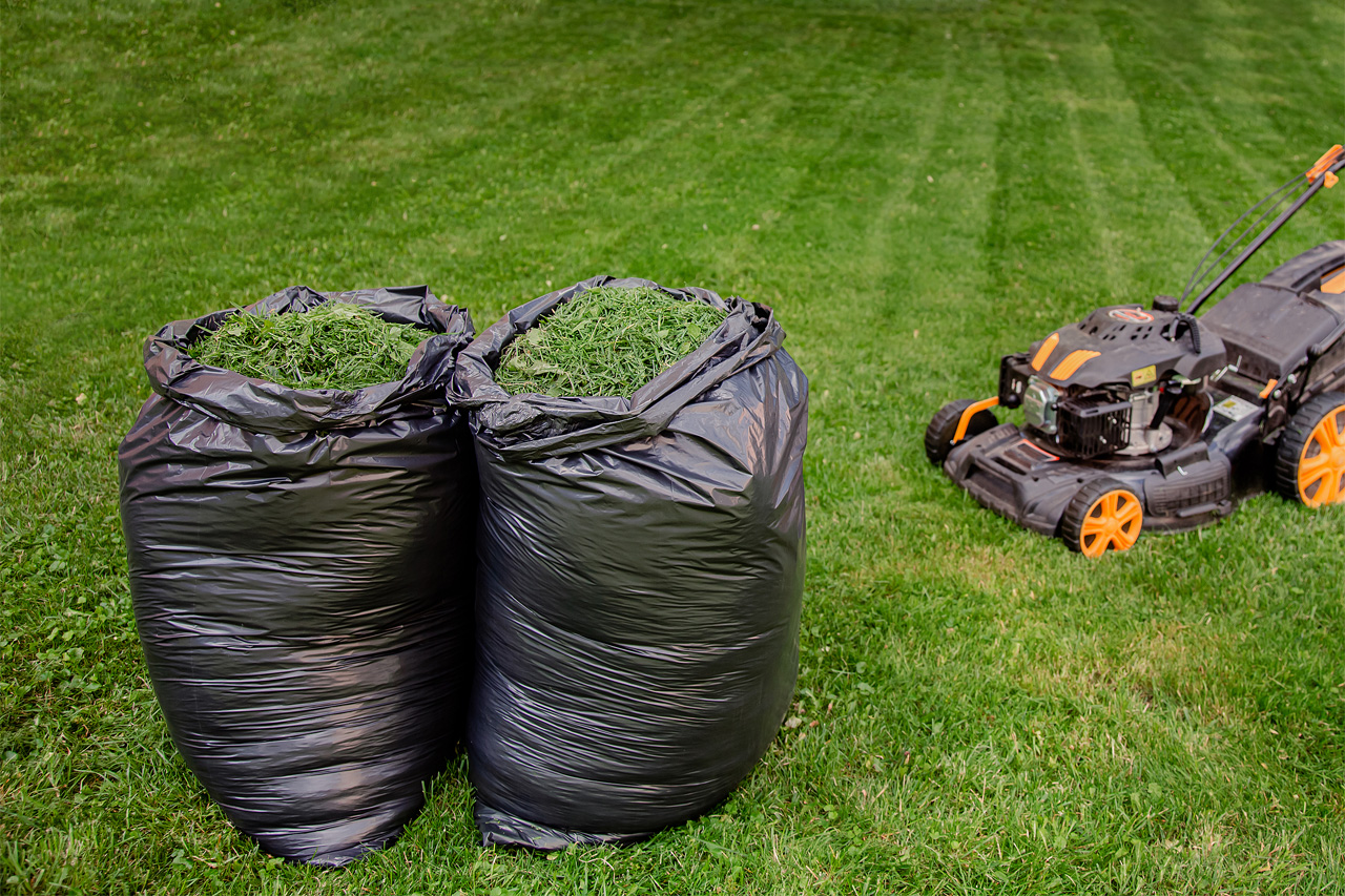 Should I Bag My Grass Clippings? Bagging vs. Mulching