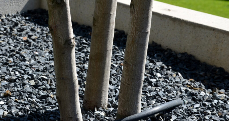 Rubber Mulch