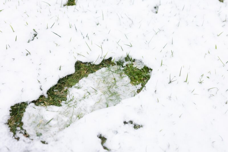 Footprint In The Snow