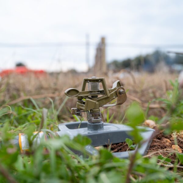 Sprinkler In The Middle Of A Winter Lawn