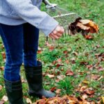 Woman Raking Leaves