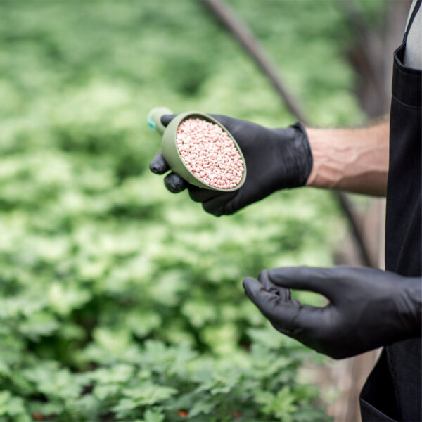 Man Using Post Emergent Herbicide On Grown Weeds