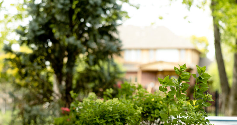 Elite Landscape Solutions