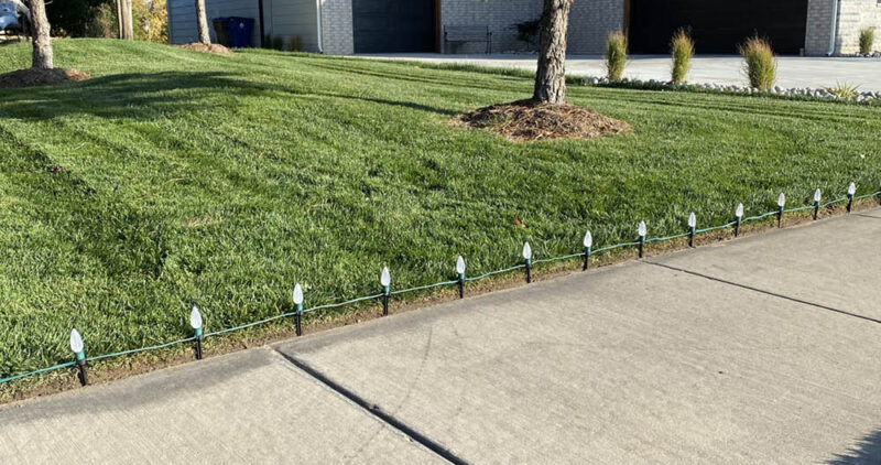 Elite Landscaping Solutions 2025 Gallery 8
