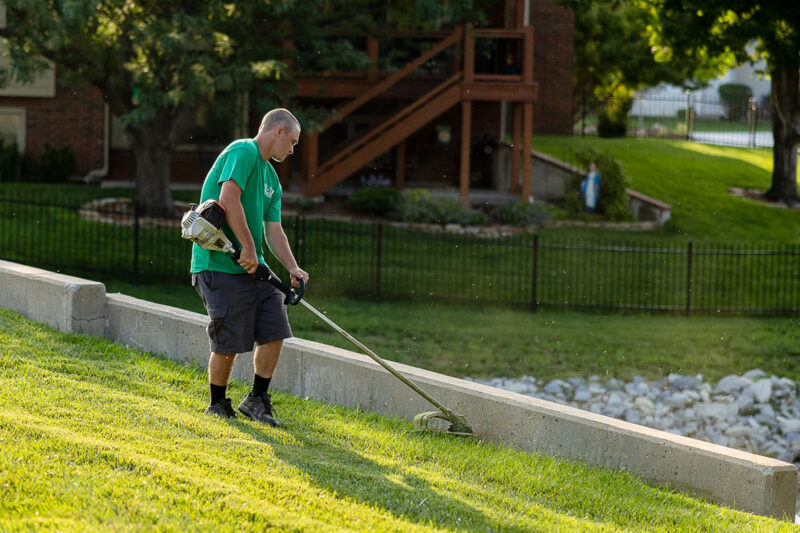 Elite Landscaping Solutions Bring Your Landscape To Life Elite Landscaping Solutions Bring Your Landscape To Life
