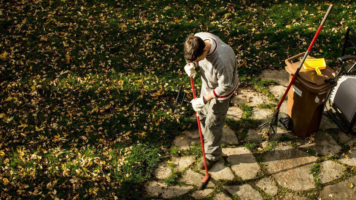 Man Working On Fall Lawn Care Checklist In Wichita Ks