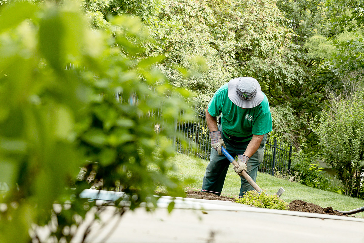 Replacing Mulch In Garden