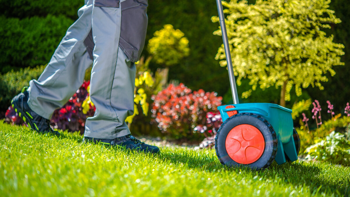 Man Practicing When To Fertilize Lawn In Wichita Ks