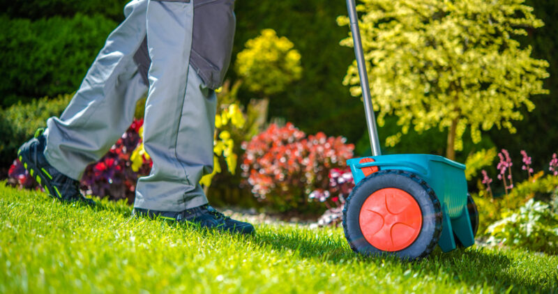 Man Practicing When To Fertilize Lawn In Wichita Ks