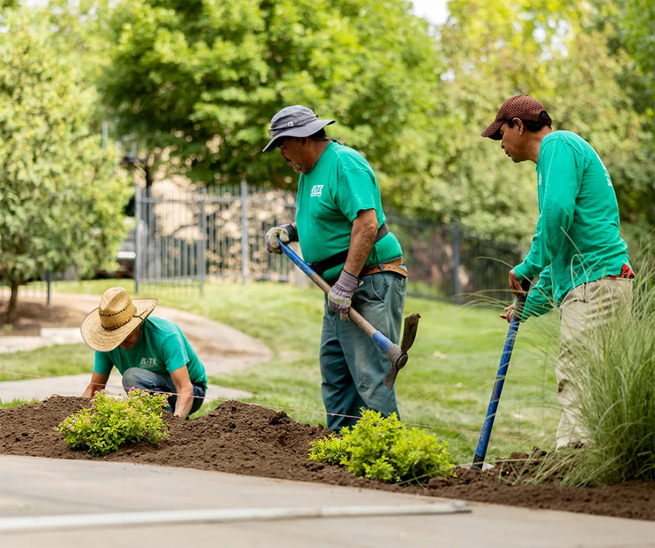 Wichita Landscaping Team Wichita Landscaping Team