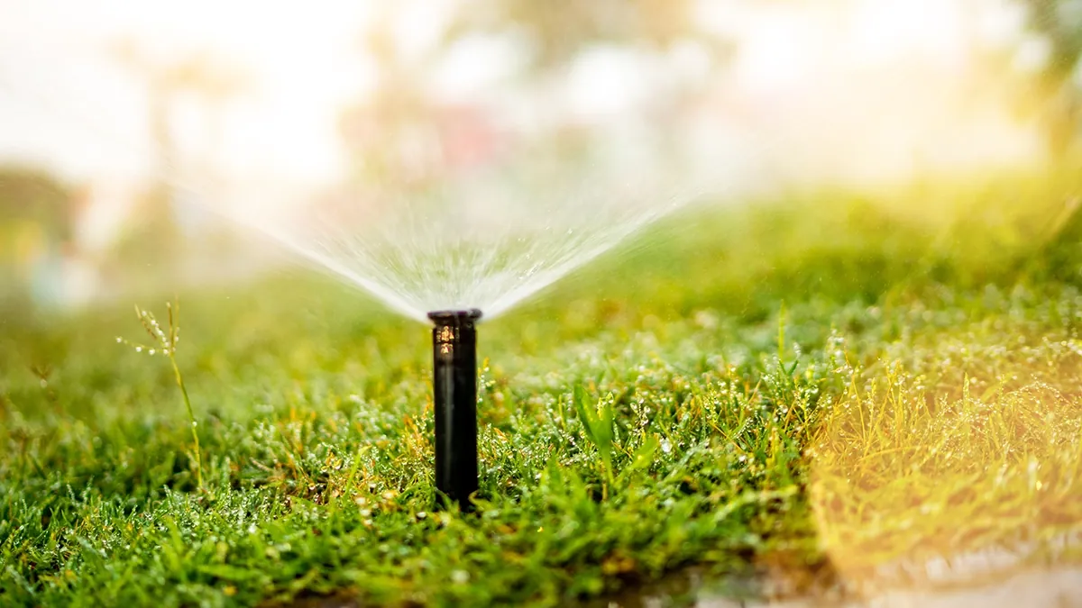 Lawn Watering Schedule Frequency Wichita Kansas